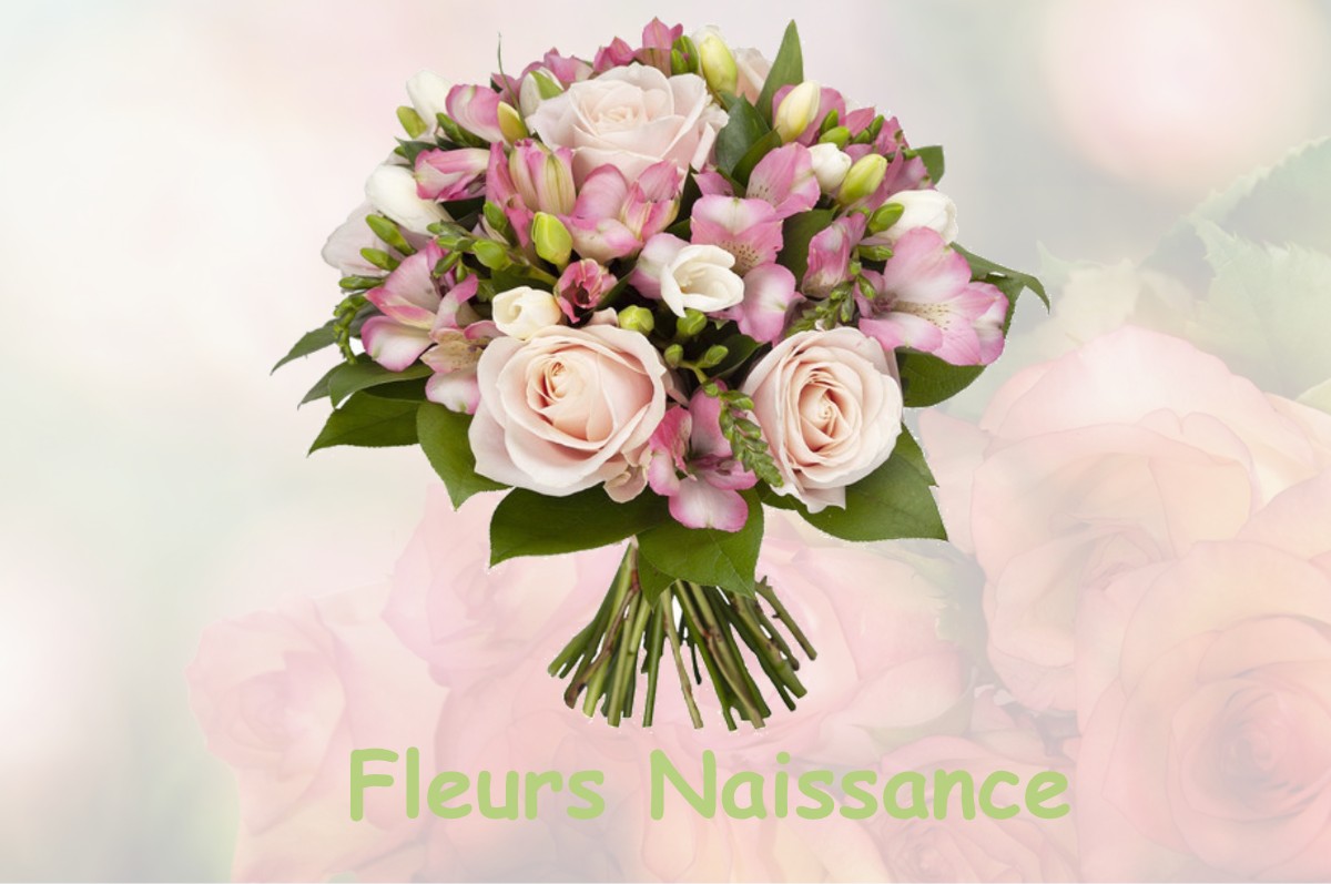 fleurs naissance SAINT-MARTORY