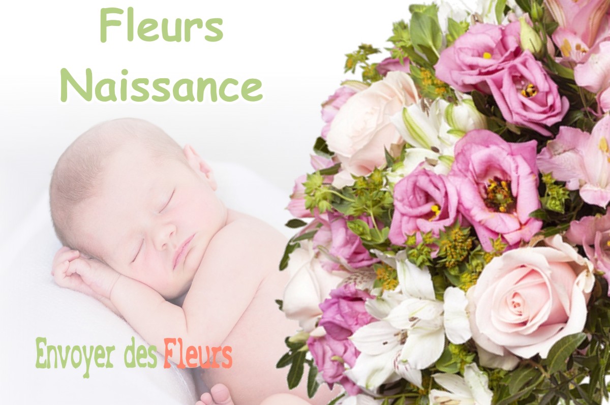 lIVRAISON FLEURS NAISSANCE à SAINT-MARTORY